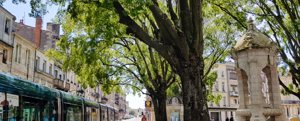 rue fondaudège à Bordeaux